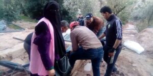 نشاط حفر الابار وتصليح المساجد